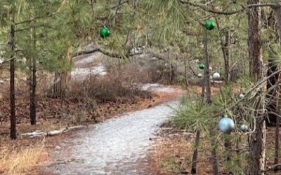 Navigating Loneliness and Grief during the Holidays